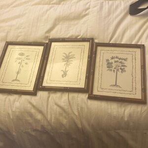 3 piece photo set. 12“ x 8 1/2“.inches each photo is different.